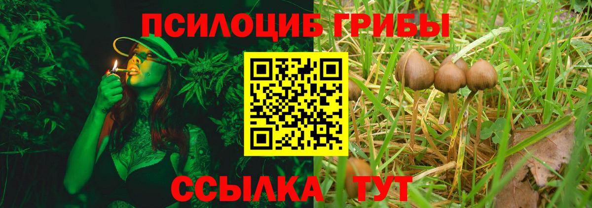 Псилоцибиновые грибы Magic Shrooms Тулун